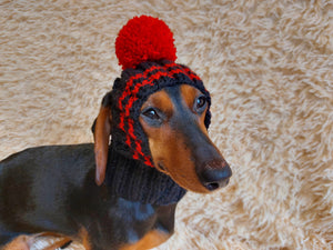 Why does a dog need a hat?
